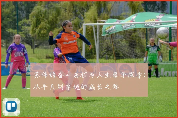 苏伟的奋斗历程与人生哲学探索：从平凡到卓越的成长之路