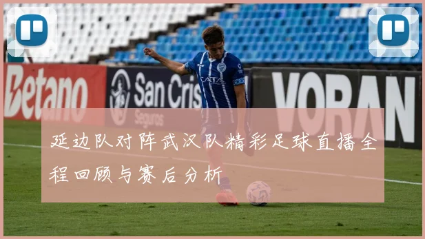 延边队对阵武汉队精彩足球直播全程回顾与赛后分析
