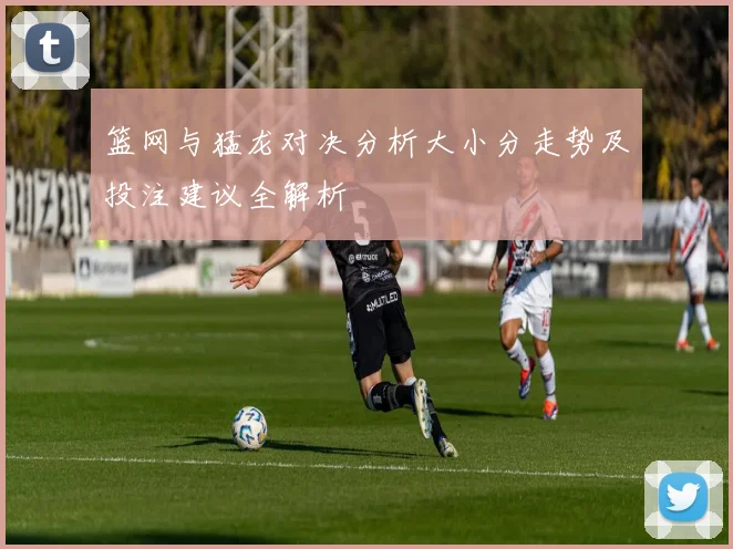 篮网与猛龙对决分析大小分走势及投注建议全解析