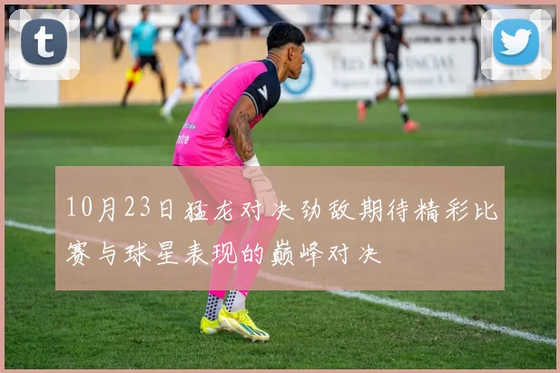 10月23日猛龙对决劲敌期待精彩比赛与球星表现的巅峰对决