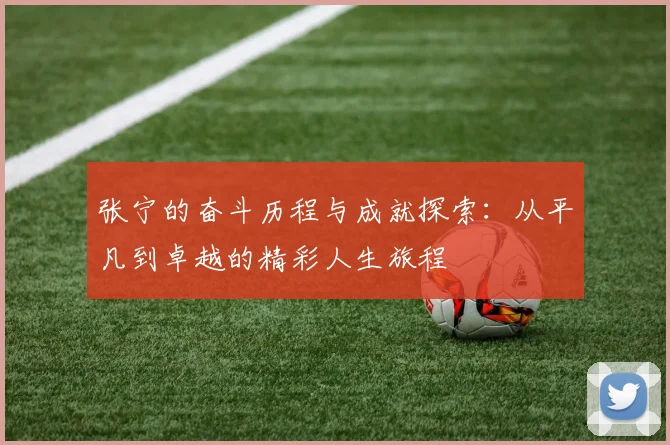 张宁的奋斗历程与成就探索：从平凡到卓越的精彩人生旅程