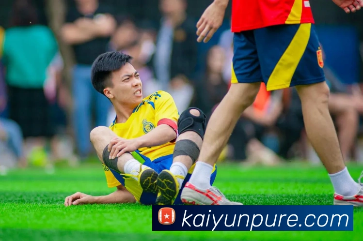 开云体育平台生态图