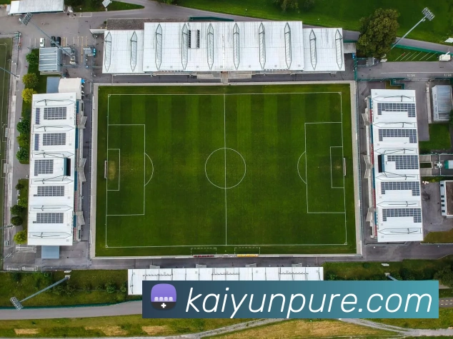 开云体育APP 封面图